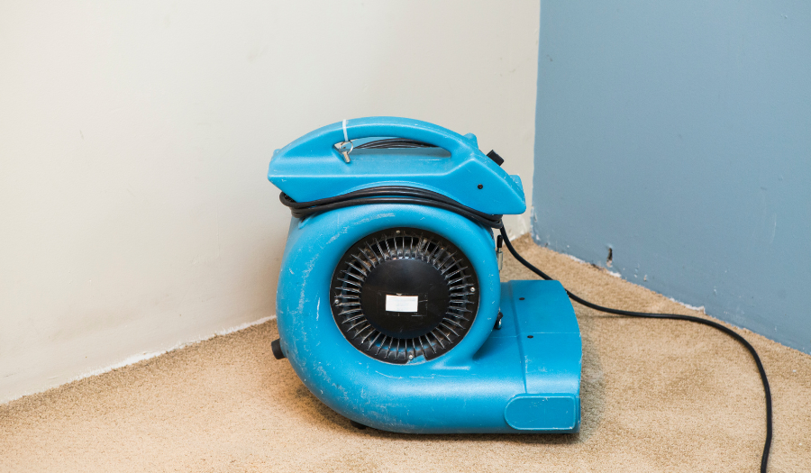 Steam Rollerz offers water extraction services in Nashville, TN and the surrounding areas. Call today for your free quote!